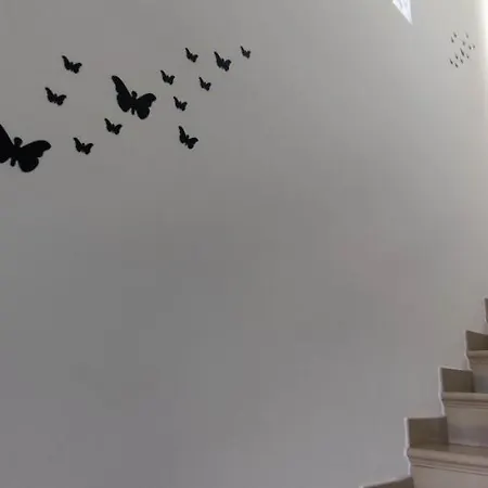 Geneva - Relax Y Diversion